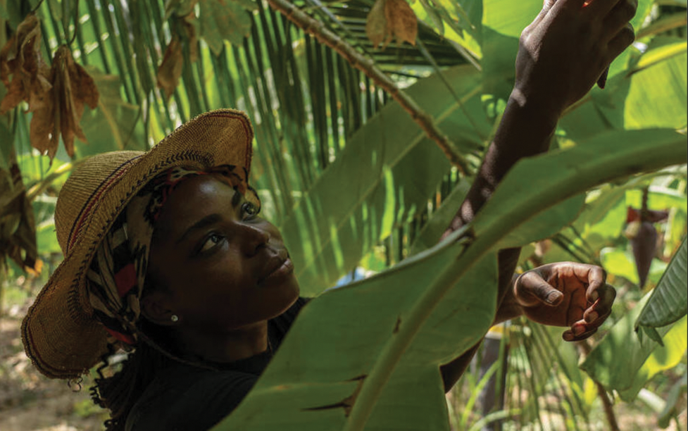 Investir dans les femmes et les filles est bon pour l’économie et accélère les progrès pour des millions de personnes